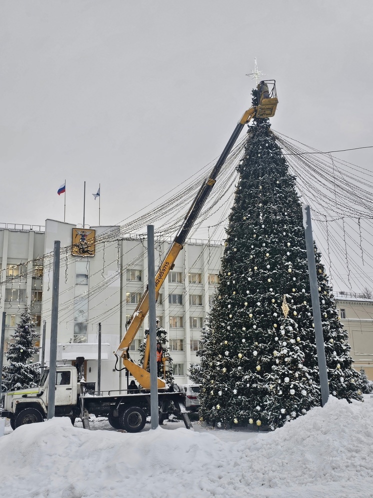 В Архангельске повредили главную новогоднюю елку