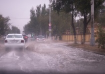 22 декабря 2023 года, согласно данным Астраханского ЦГМС, на территории Астраханской области ожидается облачная погода с небольшим дождем