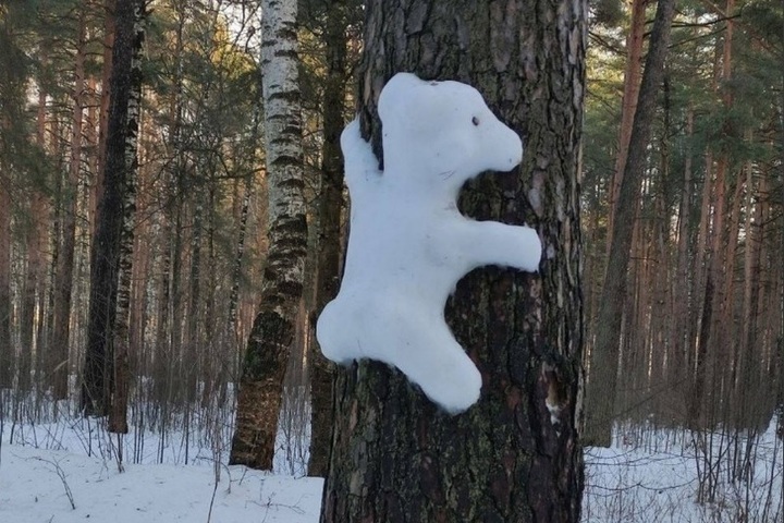 На костромских улицах появляются снежные животные