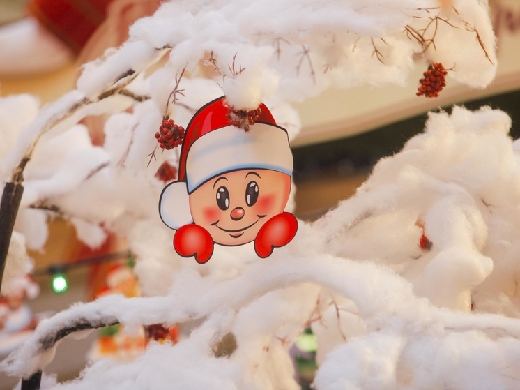 На Новый Год синоптики пообещали приятный минус и снег в Подмосковье