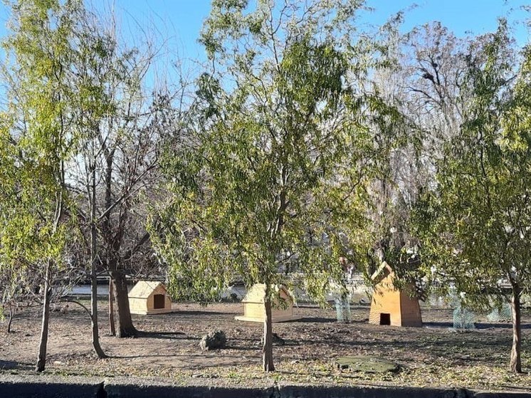 В краснодарском парке «Городской сад» появились 2 новых домика для уток