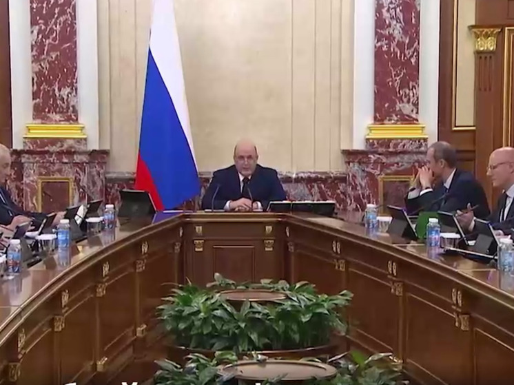 Команда правительства РФ приступила к исполнению поручений Путина