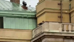 Появились жуткие видеокадры стрельбы с крыши университета в Праге