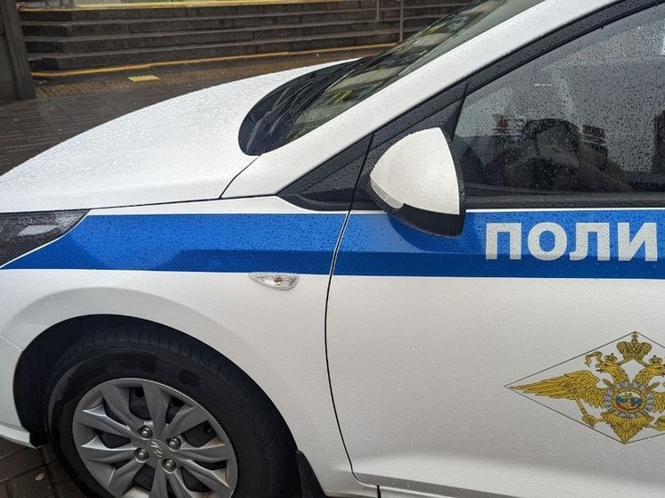 Ленинградка задушила соседа в поселке Кузнечное