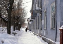 Районная администрация Санкт-Петербурга 22 декабря опровергла информацию о том, что льдина упала на голову 12-летнего школьника на Большом проспекте