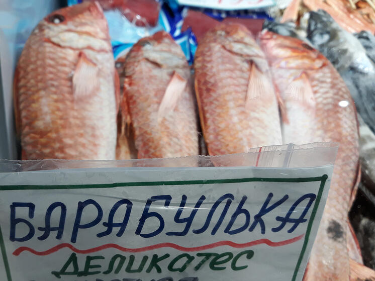 Стоимость килограмма барабули в Сочи перевалила за 1000 рублей