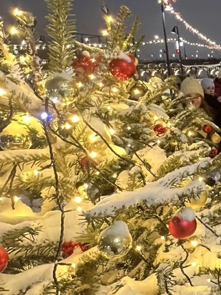 Белгородцы стали чаще бывать в гостях у Деда Мороза