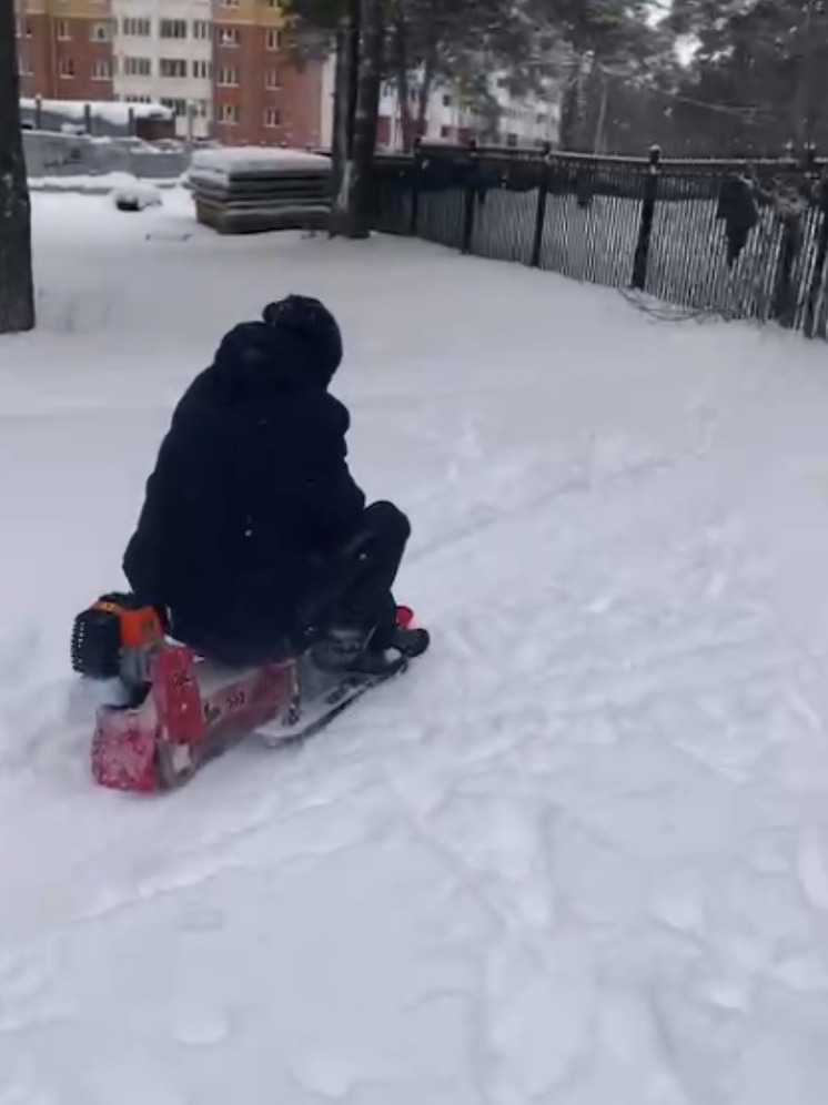 Водителя на необычном транспорте заметили жители Подмосковья