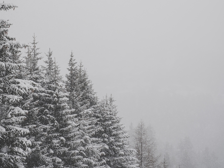 Снегопад вернется в Карелию уже сегодня, предупредили в МЧС