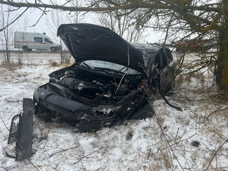 Два человека погибли в ДТП на трассе в Курской области