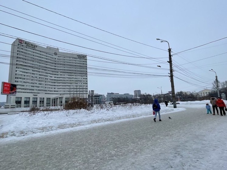 В Мурманской области действует около 70 видов соцподдержки