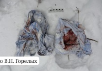 Новорожденный мальчик, найденный дедушкой в сугробе в ЗАТО Свободный Свердловской области, находится в тяжелом состоянии