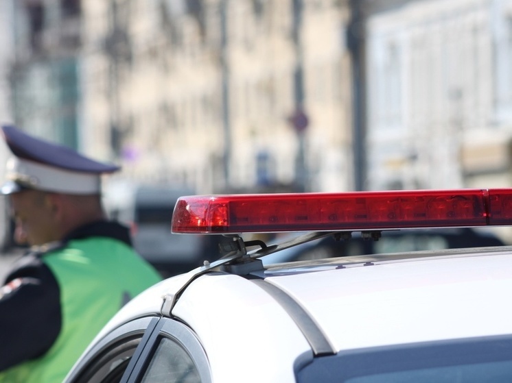 Туляк превратил дачу в наркоферму: в доме нашли 1,5 кг каннабиса