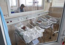 Совет Федерации РФ в пятницу, 22 декабря, одобрил поправки в законодательство, уточняющие круг лиц, имеющих право на получение материнского капитала