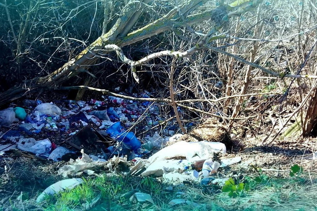 Экологи заставили курских чиновников убрать свалку в Обоянском районе