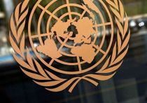 Американская делегация в ООН помешала внести в резолюцию Совета Безопасности всемирной организации поправку, призывающую к немедленной приостановке боевых действий в секторе Газа