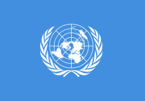 Совет Безопасности ООН принял проект гуманитарной резолюции по сектору Газа
