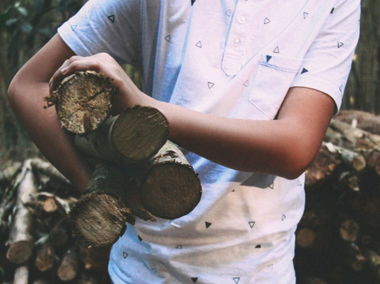 Жительницу поселка Нельмин Нос обвинили в избиении поленом