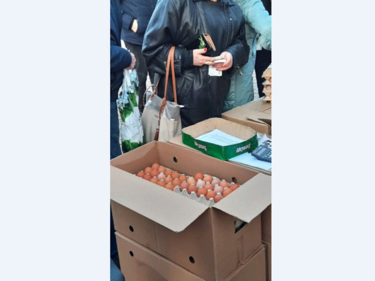 На Крепостной горе в Ставрополе открылась новогодняя продовольственная ярмарка