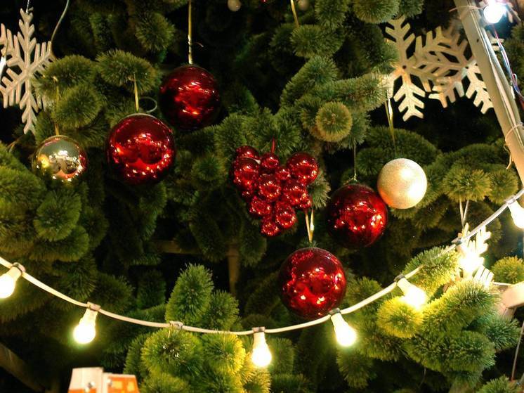 В Подмосковье выберут самую ГУСТую елку