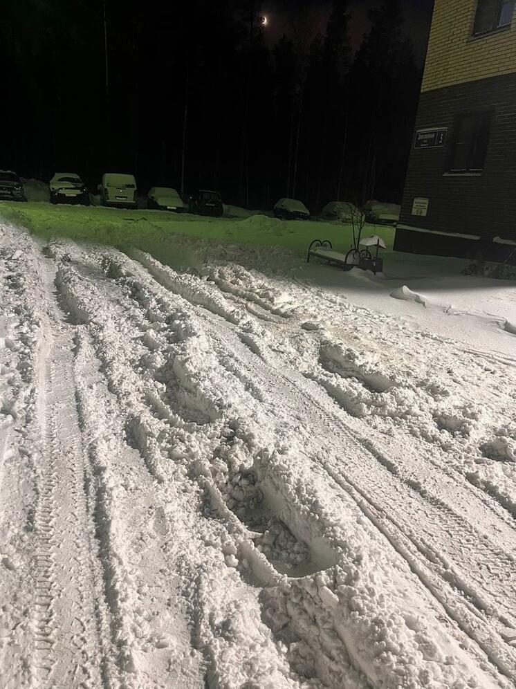 Инспекторы нашли в Карелии 78 заваленных снегом дворов