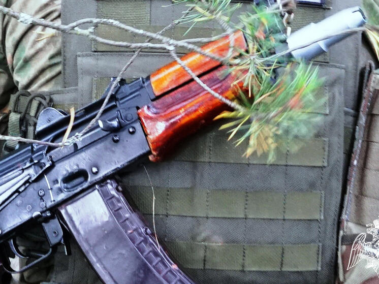 Восемь единиц нелегального оружия изъяли у жителей Карелии