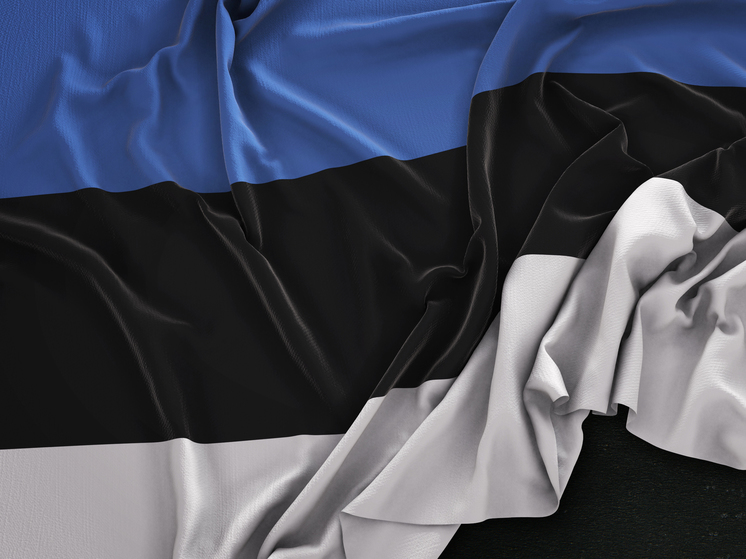 Глава МВД Ляэнеметс: Эстония может репатриировать украинцев призывного возраста