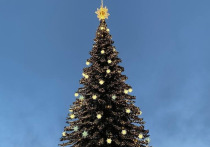 В Коле перенесли открытие новогодней елки и концерт на Поморской набережной