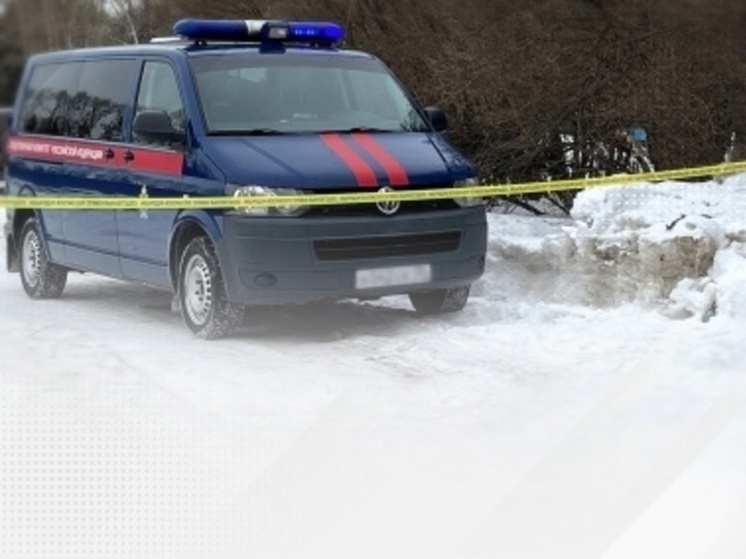 Курские следователи рассказали о гибели людей из-за схода снега с крыш зданий