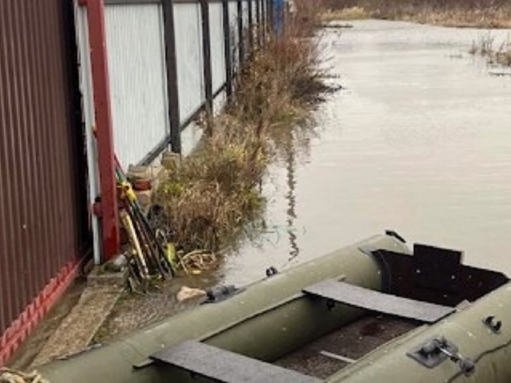 Amber Mash: река, вышедшая из берегов, затопила поселок Куликово в Зеленоградском районе