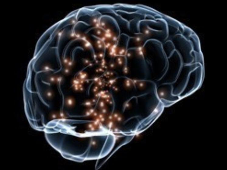 How metabolic communications work