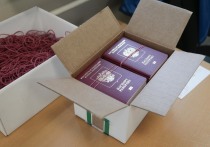Первая группа прибывших в Дагестан эвакуированных жителей Палестины, состоящая из 45 беженцев, получила паспорта граждан России
