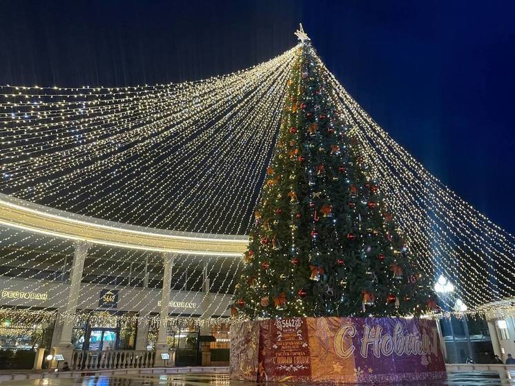 В Кисловодске пройдет премьера новогоднего мюзикла про Чебурашку и Деда Мороза
