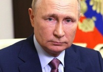 Пресс-секретарь Кремля Дмитрий Песков сообщил, что у президента России Владимира Путина много рабочих планов на зимние каникулы