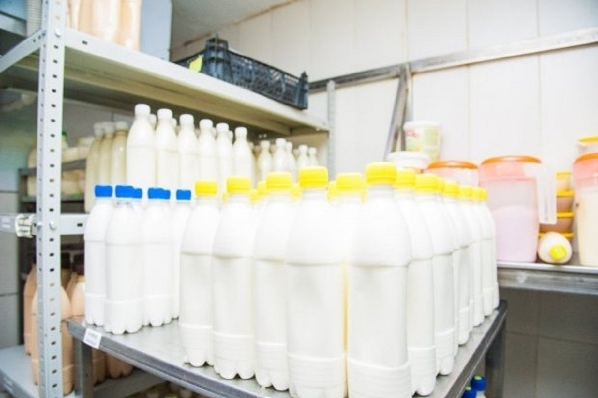 Партия опасного пастеризованного молока обнаружена в Волгоградской области