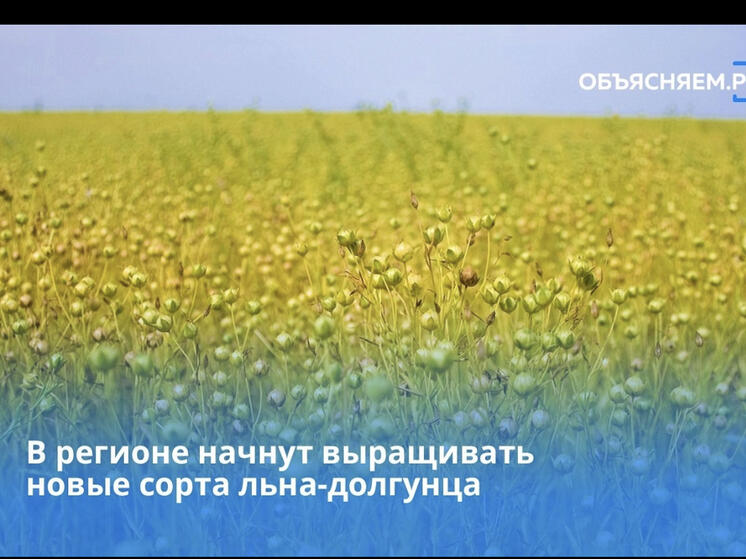 «Русский Лён» представил научно-технический проект «Развитие селекции и семеноводства льна-долгунца в условиях Смоленской области»