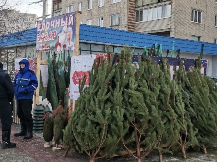 Елочные базары заработали в Серпухове