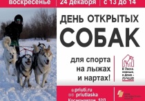 В это воскресенье 24 декабря, с 13 до 14 часов на дрессировочной площадке при приюте «Ласка» (пр. Космонавтов, 52Д) состоится «День открытых собак». На этот раз будут представлены собаки, занятые в ездовом спорте.