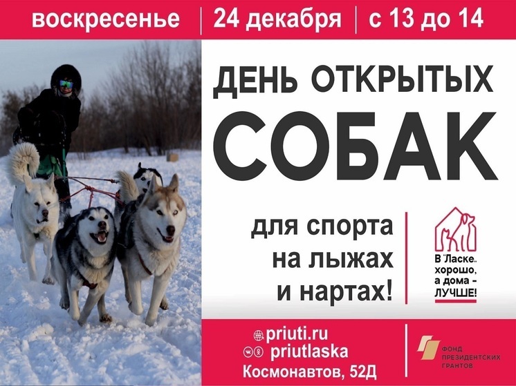 Барнаульцев приглашают на День открытых собак 24 декабря