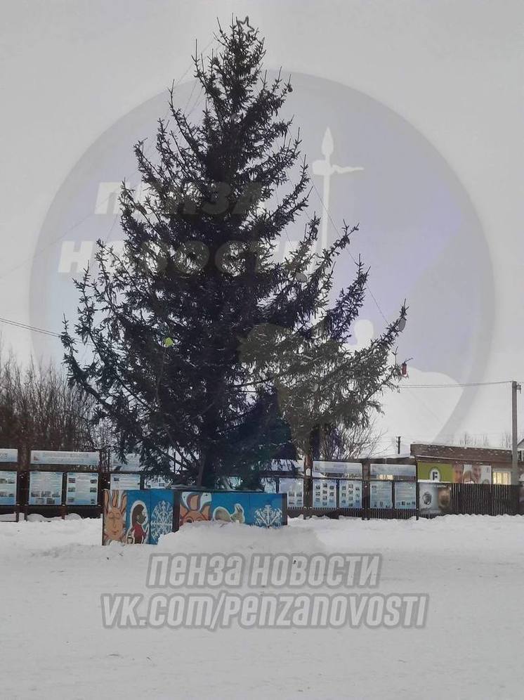 Жителей Пачелмы Пензенской области оставили без наряженной новогодней елки