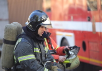 Человек погиб при пожаре в Выборгском районе. На проспекте Просвещения загорелась однокомнатная квартира, сообщили в пресс-службе ГУ МЧС по Петербургу.