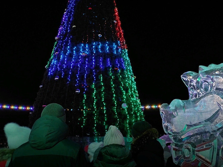 В одном из городов Хакасии открыли главную елку