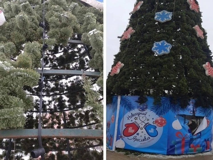 Новогодняя елка в Заволжском районе уже дважды пострадала от нападения вандалов