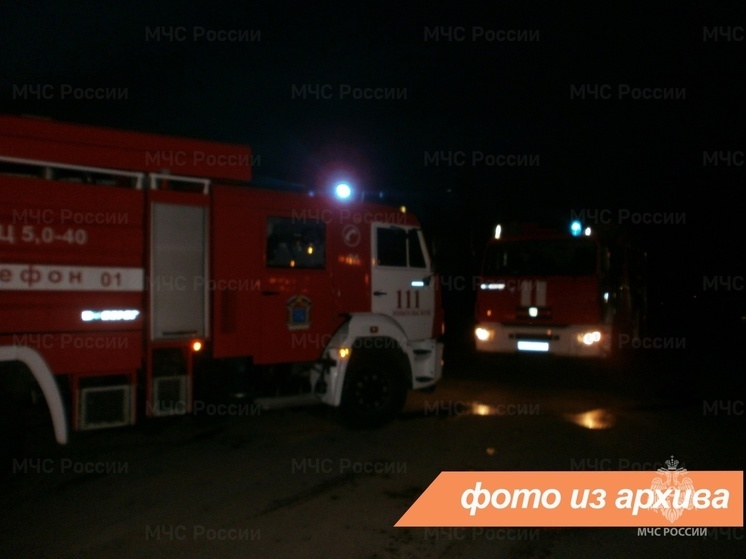 Легковые автомобили сгорели в Сертолово