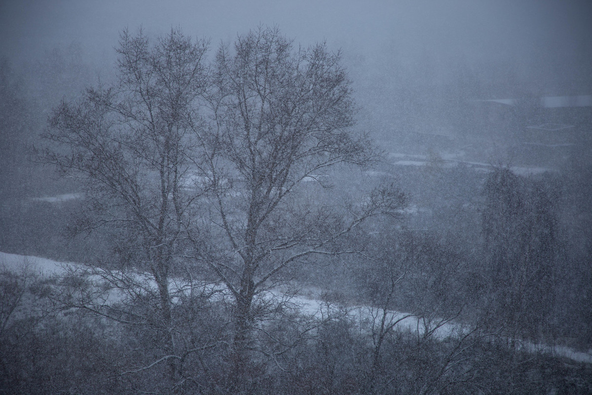 Погода на неделю в Тверской области: снег и «комфортный» минус