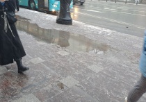 В Петербурге 25 декабря ожидается облачная погода. Временами будет идти снег, сообщили в пресс-службе ФГБУ «Северо-Западное УГМС».
