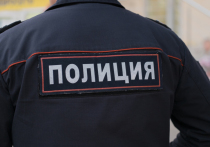 Петербургская полиция ищет группу молодых людей, которые напали на курьера