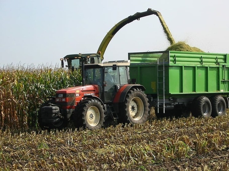 Аграрии ДНР собрали более одного миллиона тонн зерновых и технических сельхозкультур