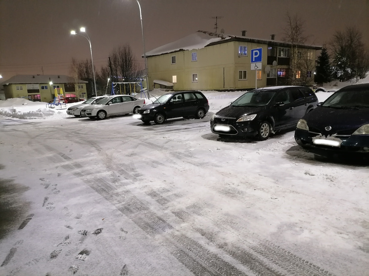 Стало известно, где находится идеально вычищенный от снега двор в Петрозаводске