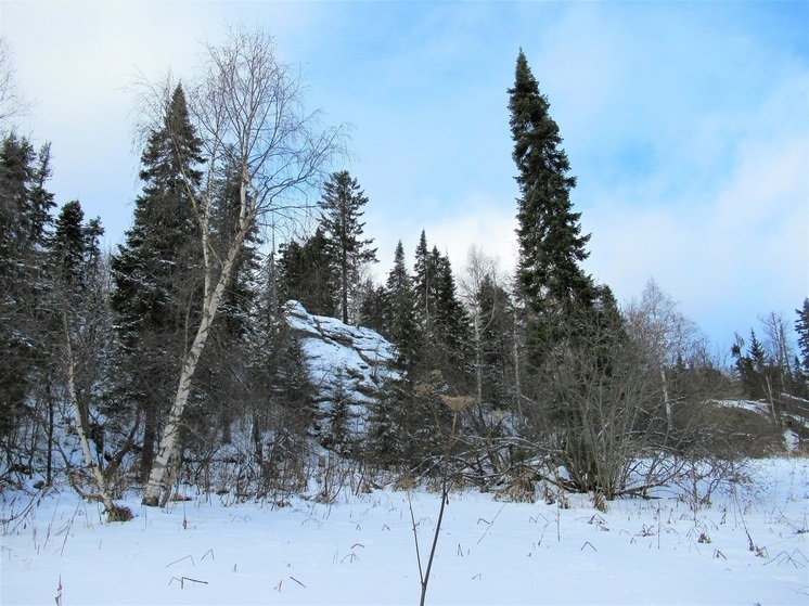 К Новому году температура воздуха в Свердловской области опустится до нормы